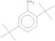 2,5-di-tert-butylaniline