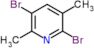 2,5-dibromo-3,6-dimethylpyridine