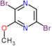 2,5-dibromo-3-methoxypyrazine
