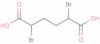 2,5-dibromoadipic acid