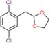 2-[(2,5-Dichlorophenyl)methyl]-1,3-dioxolane