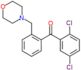 (2,5-dichlorophenyl)-[2-(morpholinomethyl)phenyl]methanone