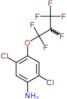 2,5-dichloro-4-(1,1,2,3,3,3-hexafluoropropoxy)aniline