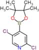 2,5-dichloro-4-(4,4,5,5-tetramethyl-1,3,2-dioxaborolan-2-yl)pyridine