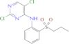 2,5-dichloro-N-(2-(isopropylsulfonyl)phenyl)pyrimidin-4-amine