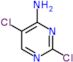 2,5-dichloropyrimidin-4-amine