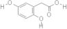 2,5-Dihydroxyphenylacetic acid