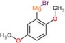 bromo-(2,5-dimethoxyphenyl)magnesium