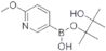 2-Methoxy-5-(4,4,5,5-tetramethyl-1,3,2-dioxaborolan-2-yl)pyridine