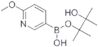 6-Methoxypyridine-3-boronic acid pinacol ester