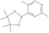 2,5-Dimethyl-4-(4,4,5,5-tetramethyl-1,3,2-dioxaborolan-2-yl)pyridine