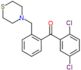 (2,5-dichlorophenyl)-[2-(thiomorpholinomethyl)phenyl]methanone