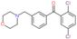 Methanone, (2,5-dichlorophenyl)[3-(4-morpholinylmethyl)phenyl]-