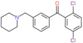 (2,5-dichlorophenyl)-[3-(1-piperidylmethyl)phenyl]methanone