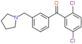 (2,5-dichlorophenyl)-[3-(pyrrolidin-1-ylmethyl)phenyl]methanone