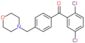 (2,5-dichlorophenyl)-[4-(morpholinomethyl)phenyl]methanone