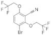 2,6-bis(2,2,2-trifluoroethoxy)-3-bromobenzonitrile