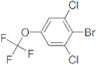 2,6-Dichloro-4-(trifluoromethoxy)bromobenzene