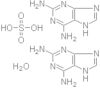 1H-Purine-2,6-diamine sulfate (2:1) monohydrate