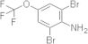 2,6-Dibromo-4-trifluoromethoxyaniline