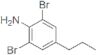 2,6-Dibromo-4-n-propylaniline