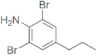 2,6-Dibromo-4-propylbenzenamine