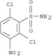 Benzenesulfonamide,2,6-dichloro-3-nitro-