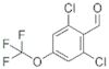 2,6-DICHLORO-4-(TRIFLUOROMETHOXY)BENZALDEHYDE