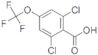 2,6-Dichloro-4-(trifluoromethoxy)benzoic acid