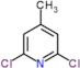 2,6-Dichloro-4-methylpyridine