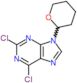 2,6-dichloro-9-(tetrahydro-2H-pyran-2-yl)-9H-purine