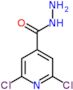 2,6-dichloropyridine-4-carbohydrazide