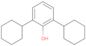 2,6-dicyclohexylphenol