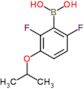 [2,6-difluoro-3-(1-methylethoxy)phenyl]boronic acid