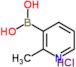 Ácido bórico de (2-metilpiridin-3-il) cloridrato (1:1)