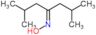 N-hydroxy-2,6-dimethylheptan-4-imine