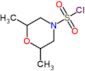 2,6-dimethylmorpholine-4-sulfonyl chloride