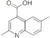 2,6-DIMETHYL-QUINOLINE-4-CARBOXYLIC ACID