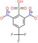 2,6-dinitro-4-(trifluoromethyl)benzenesulfonic acid