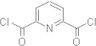 2,6-Pyridinedicarbonyl dichloride