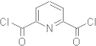 2,6-Pyridinedicarboxylic acid chloride