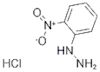 2-Nitrophenylhydrazine Hydrochloride