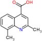 2,8-dimethylquinoline-4-carboxylic acid