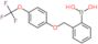 (2-{[4-(trifluoromethoxy)phenoxy]methyl}phenyl)boronic acid