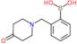 [2-[(4-oxo-1-piperidyl)methyl]phenyl]boronic acid