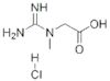 Creatine HCL