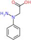 (1-phenylhydrazinyl)acetic acid