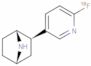 2-(2-fluoro-5-pyridyl)-7-azabicyclo(2.2.1)heptane