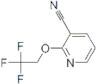 2-(2,2,2-Trifluoroethoxy)pyridine-3-carbonitrile