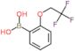 [2-(2,2,2-trifluoroethoxy)phenyl]boronic acid